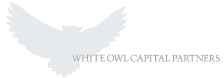 Beyaz Baykuş Capital Partners Logosu